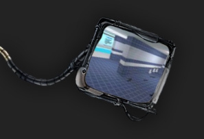 fy_pool_day